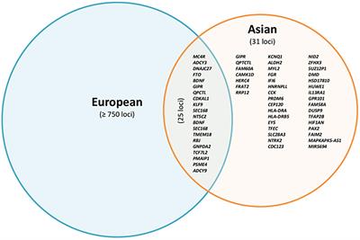 Genetics of Obesity in East Asians